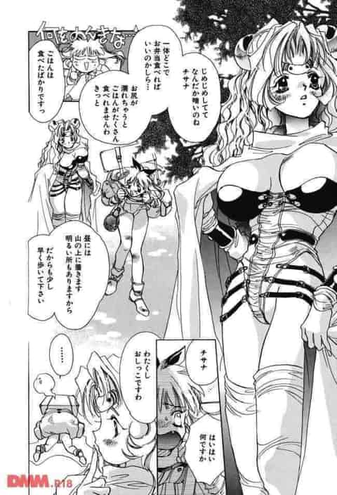 せっかく姫様の代わりにレイプされて、カラダを張ったのに自分からフェラしてヌプヌプされに行くなんて、まったくもう…c