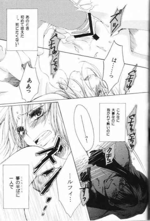 ルフィとナミのラブラブエッチがとっても微笑ましいお話！！c