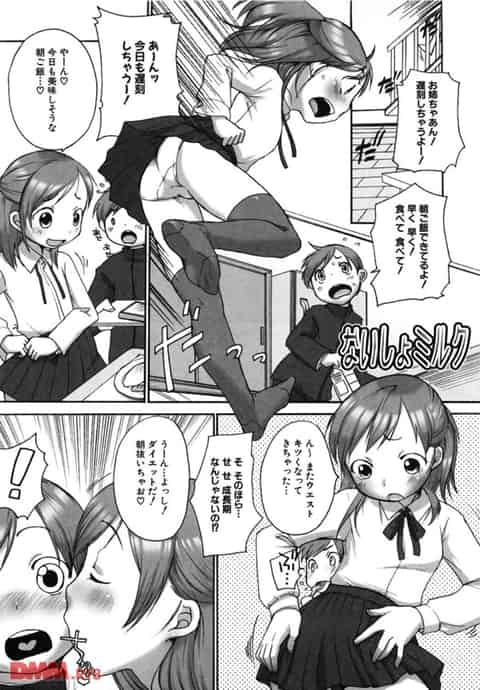 寝ているお姉ちゃんにイタズラしてたら止まらなくなり、中出ししちゃった結果…b