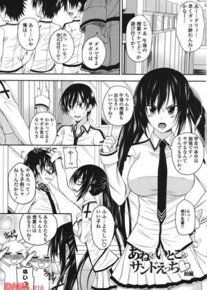 授業をサボろうとしていたら巨乳の先輩に注意された結果、その先輩は実姉で一緒に帰ろうと誘われて誰もいない教室で・・・